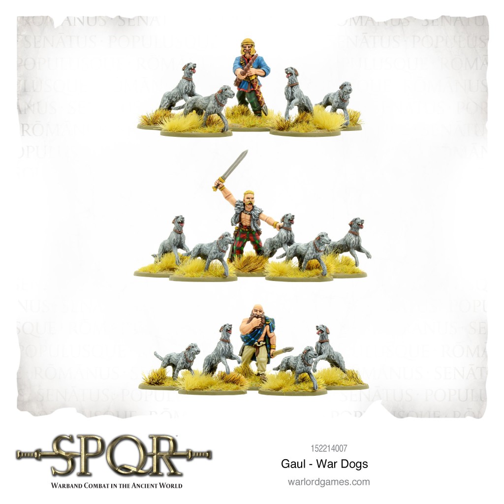 SPQR: Gaul - War Dogs