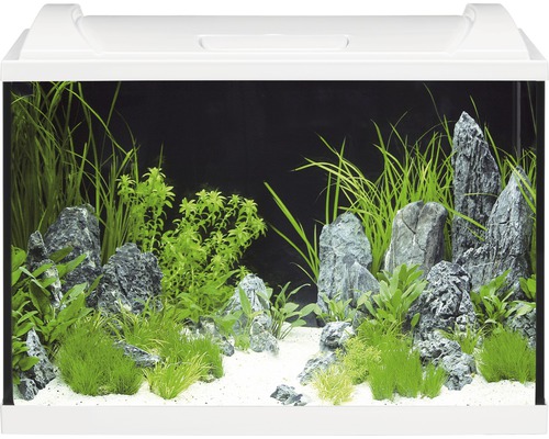 EHEIM aquaproLED 84 aquariumset met LED-verlichting, filter, verwarming, thermometer en net (zonder kast), wit, ca. 84 L, 60 x 40 x 35 cm