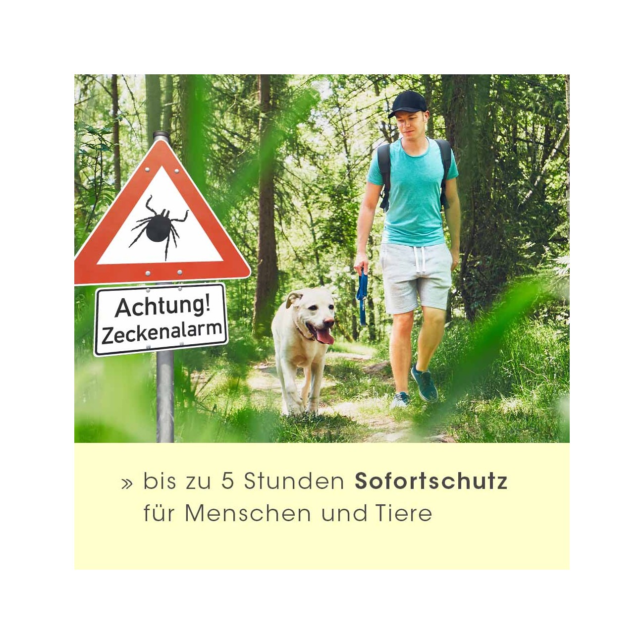 cdVet ZeckEx Spray 50 ml