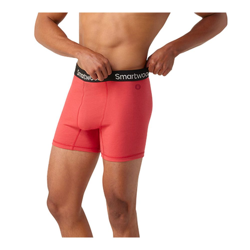 Smartwool BRIEF - Boxer Homme earth red