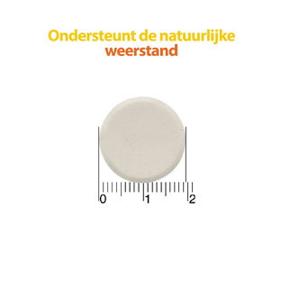 Roter Vitamine C 1000 mg Hoog Gedoseerd Citroensmaak Kauwtabletten 50TB