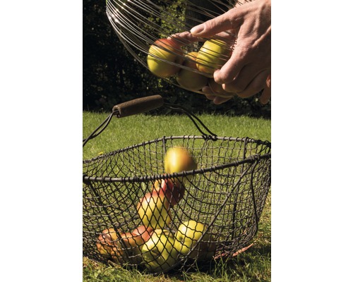 Noten- en fruitverzamelaar voor_q, telescopisch 110-165 cm