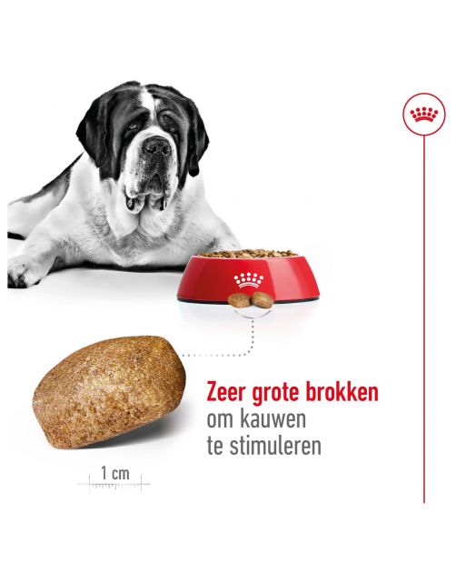 Royal Canin Giant Adult - Hondenvoer