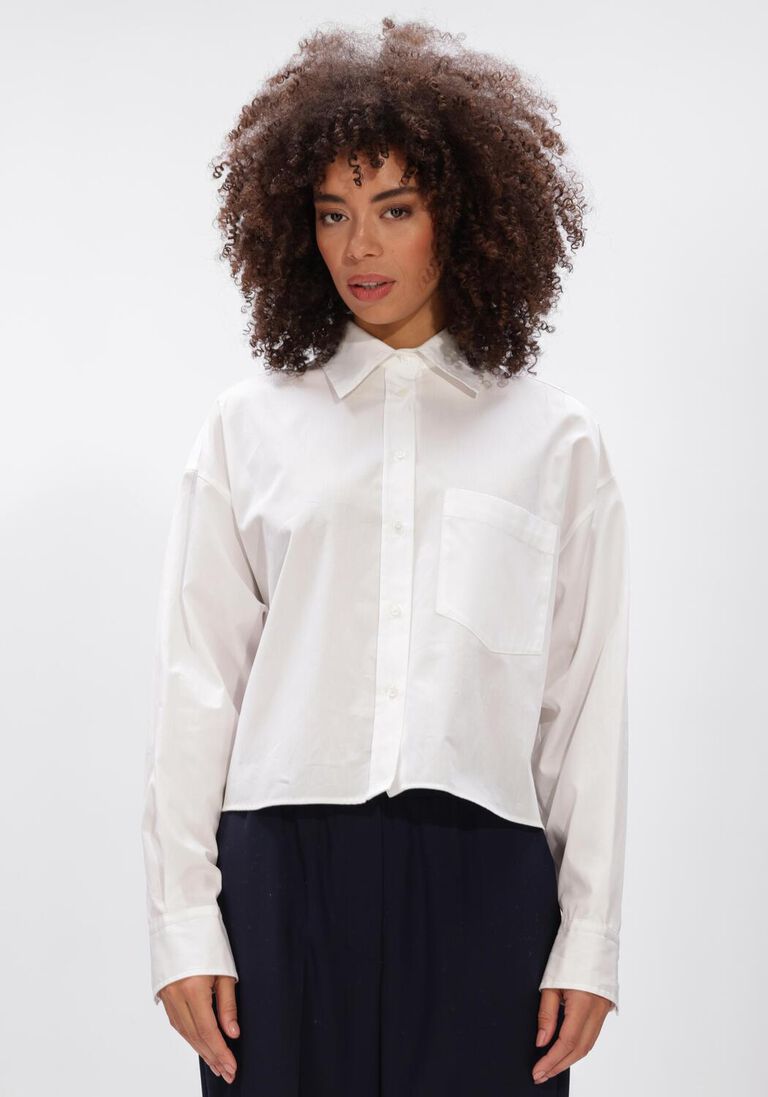 witte max mara blouses eden