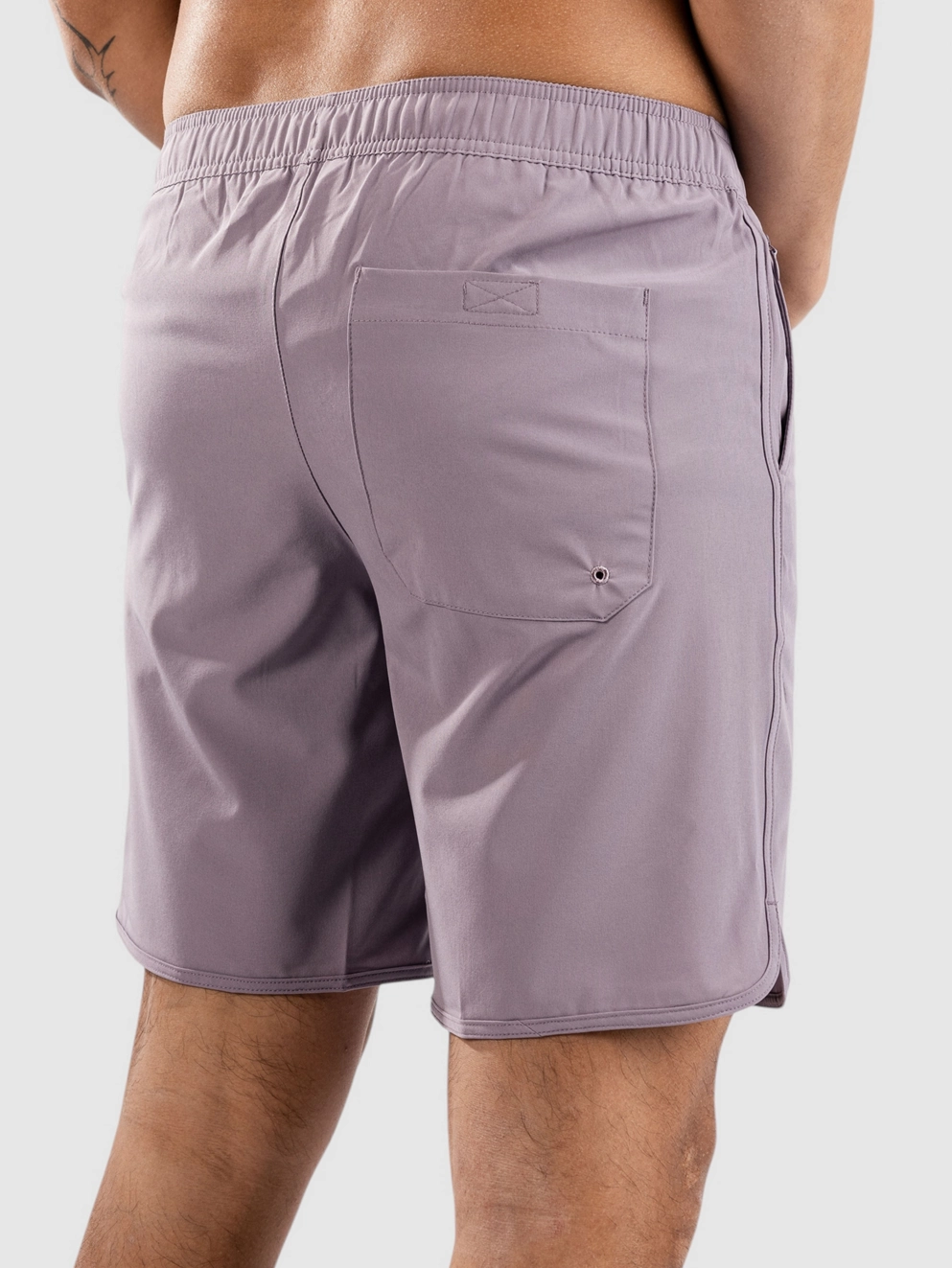 Dravus All Terrain Boardshorts purple