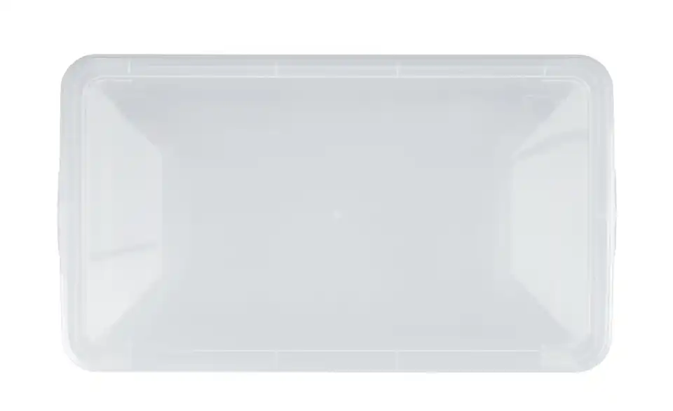 Rotho Aufbewahrungsbox mit Deckel 33 cm