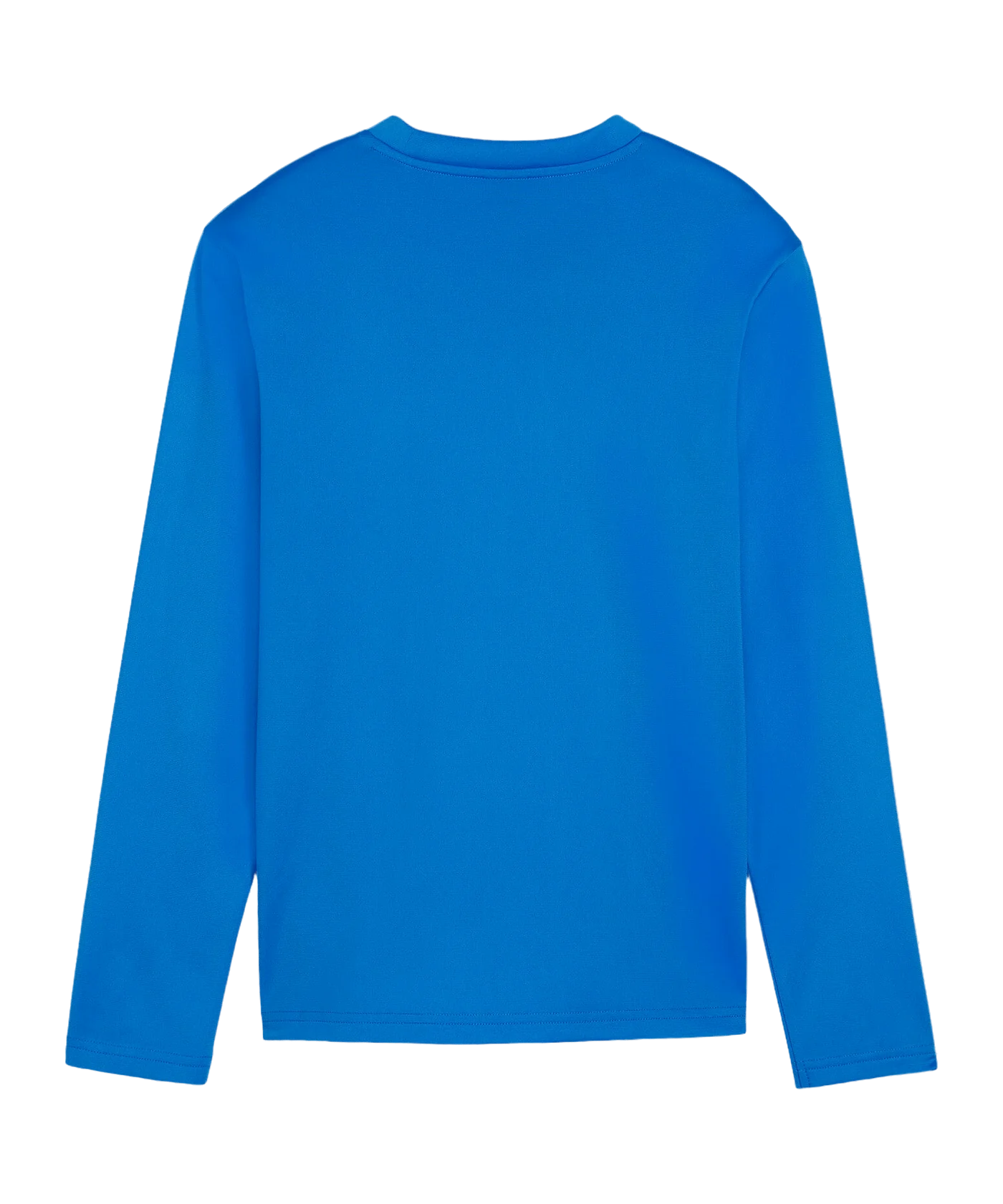 PUMA teamGOAL Training Sweatshirt Kids Blau F02