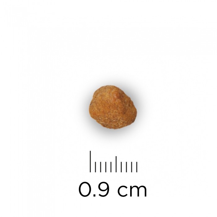 HILL'S Prescription Diet c/d Urinary Stress Multicare + Metabolic au Poulet - Croquettes pour chat
