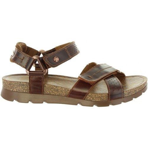 Panama Jack - SAMBO EXPLORER C4 Marr