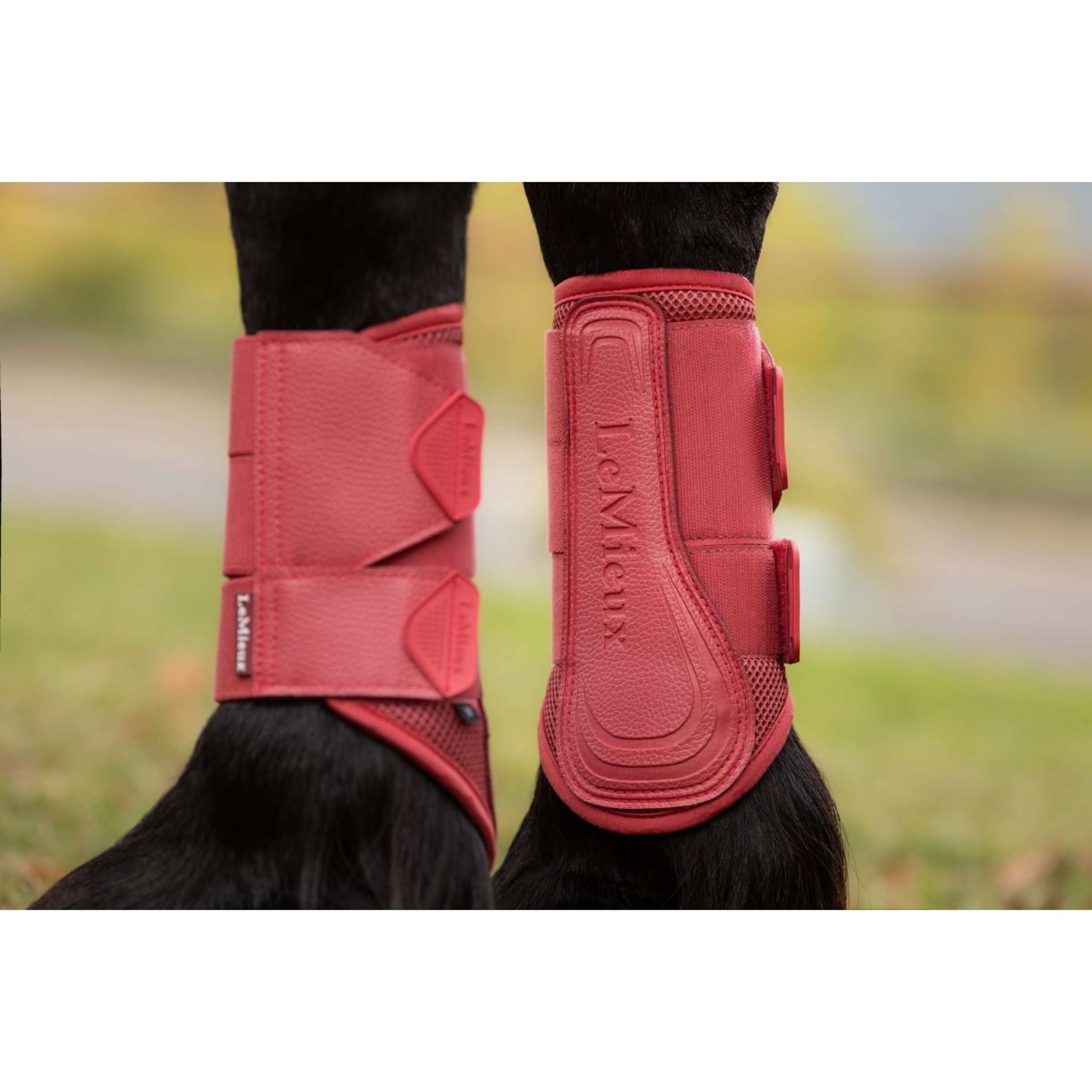 LeMieux Pijpkousen Arika Mesh Cranberry