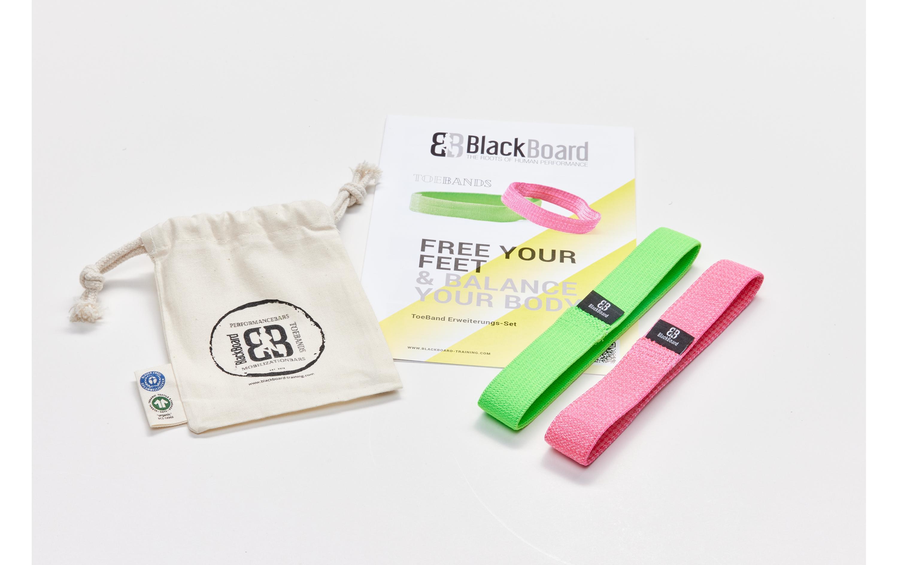 Balance Board Professional<br>BlackBoard Training System