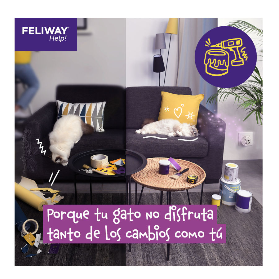 Difusor Feliway Help e Refil com feromônios para alívio ocasional do estresse.