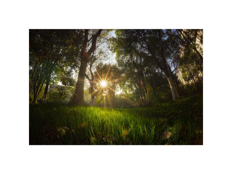 7Artisans Festbrennweite 7.5mm F/2.8 Fisheye Mark II – Niko Festbrennweite der zweiten Generation