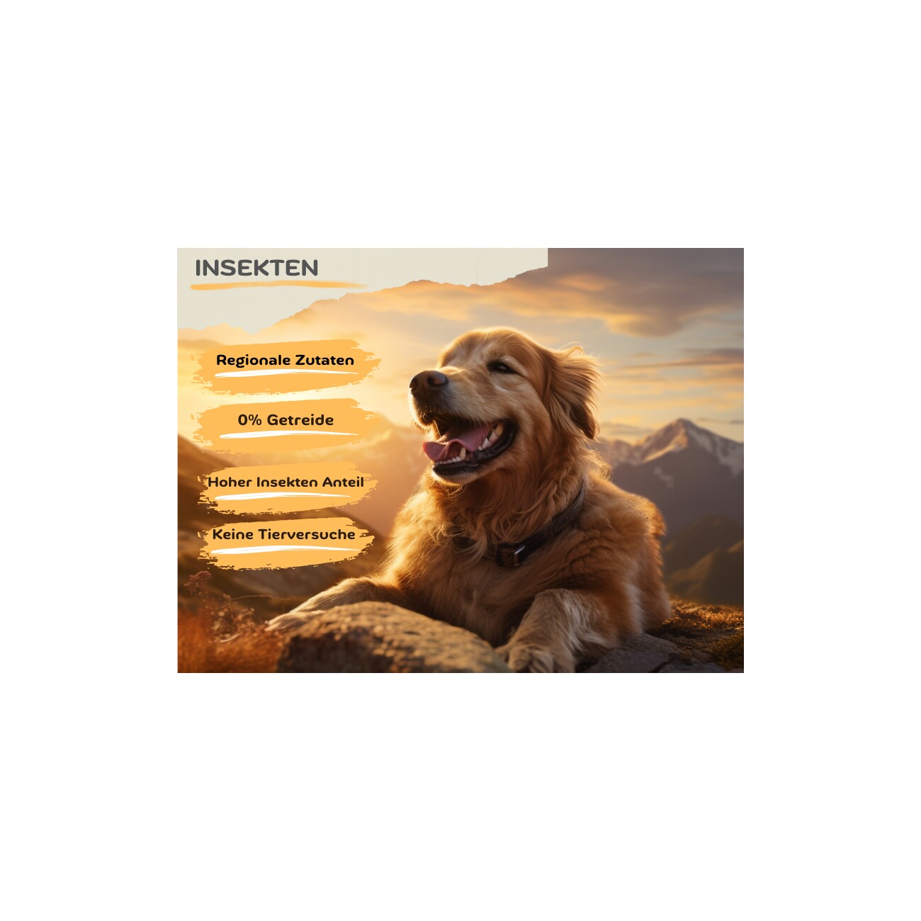 MyPetClub getreidefreies Insekten Hundefutter hypoallergen & sensitiv 8 kg