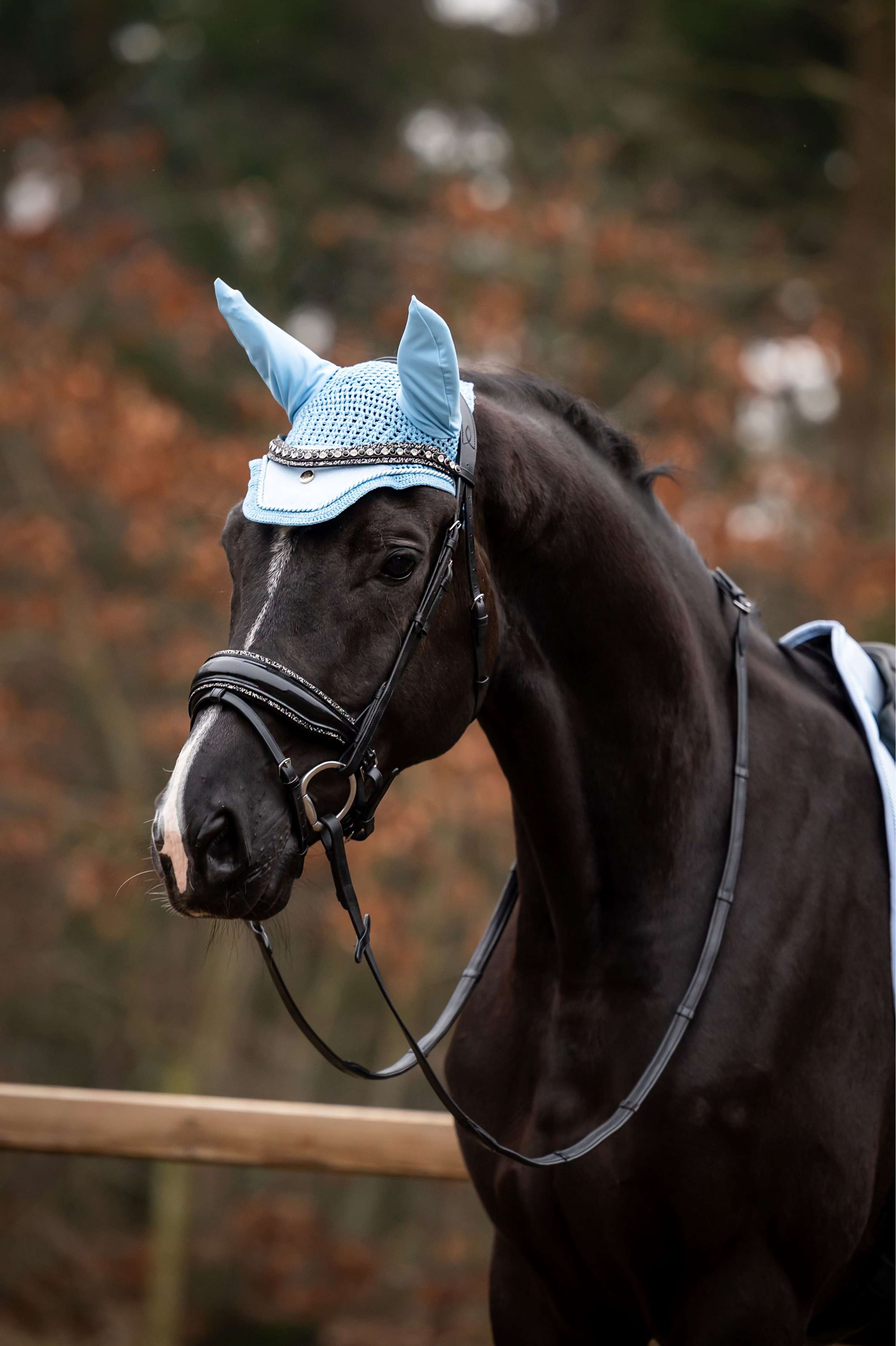 HB Showtime Oornetje Spring Lichtblauw