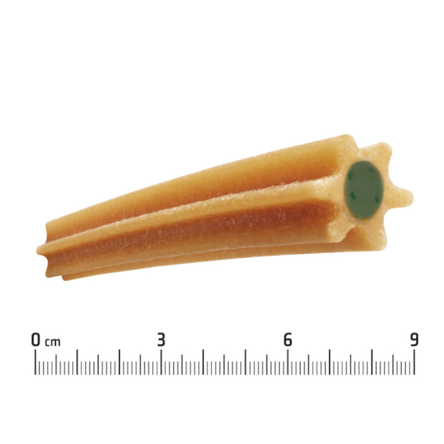Mini snacks para cuidados dentários avançados para cães
