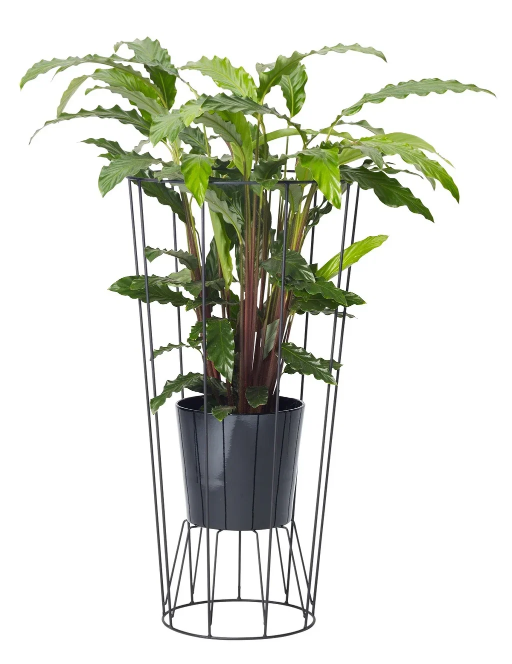 Pidestall Danny Høyde 75 cm