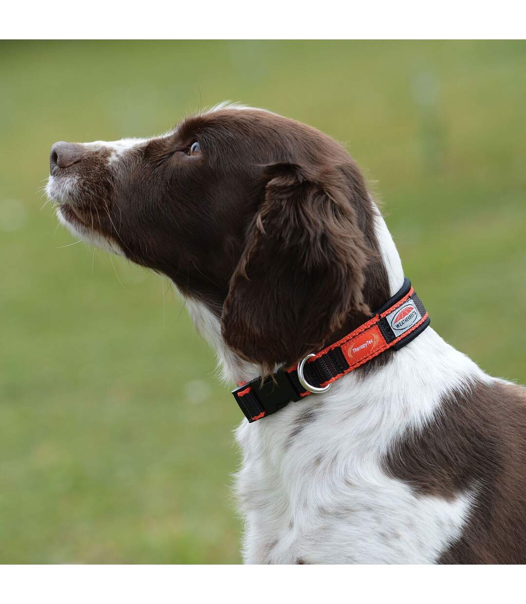 Weatherbeeta - Collier pour chiens THERAPY-TEC (Noir / Rouge) (2XL) - UTWB1543