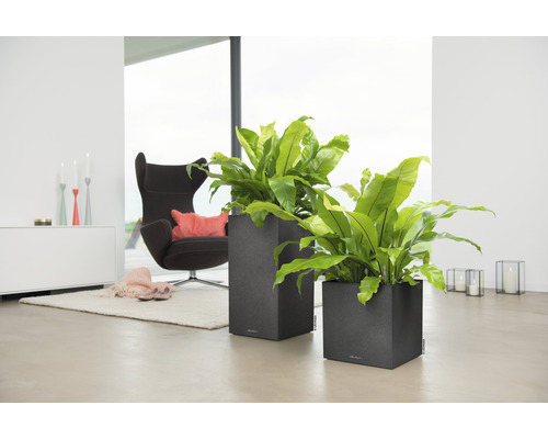 Lechuza Canto Stone plantenbak 40 x 40 x H 76 cm zwart incl. zelfbewateringssysteem, plantenbak, substraat en waterniveau-indicator