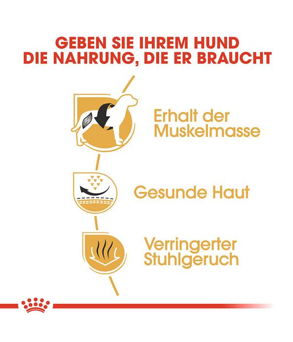 ROYAL CANIN® Trockenfutter für Hunde French