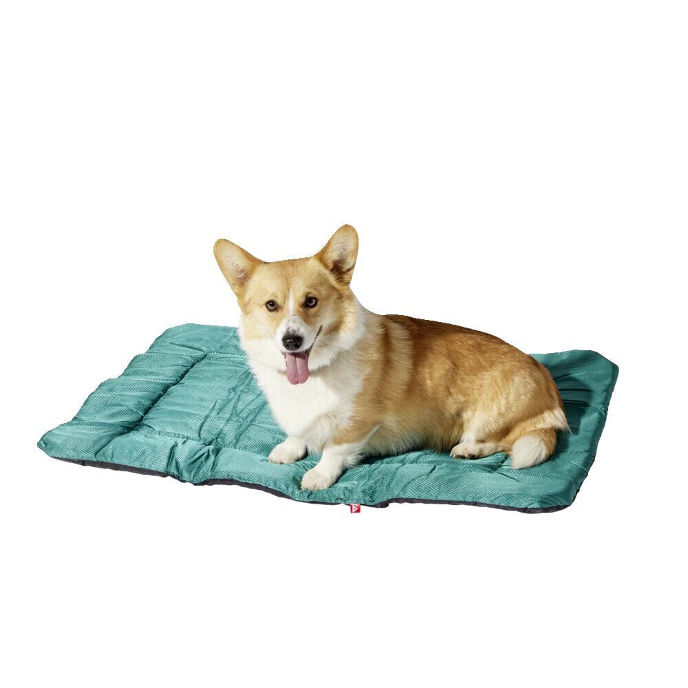 Couchage de voyage pour chien