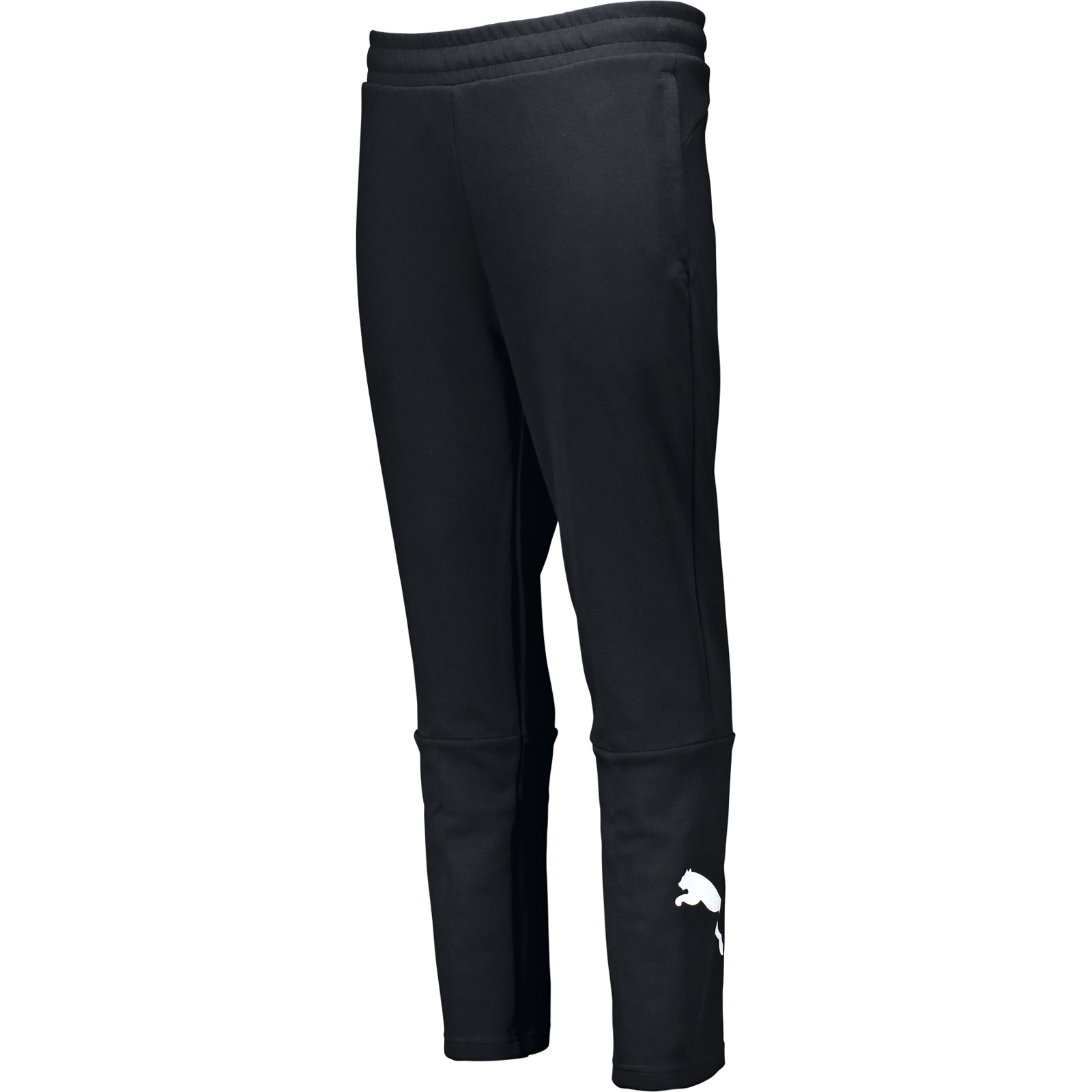 Puma Herren-Trainingshose Power Cat S
