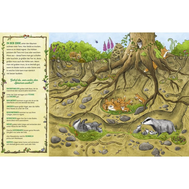 Das große Wald Wimmelbuch