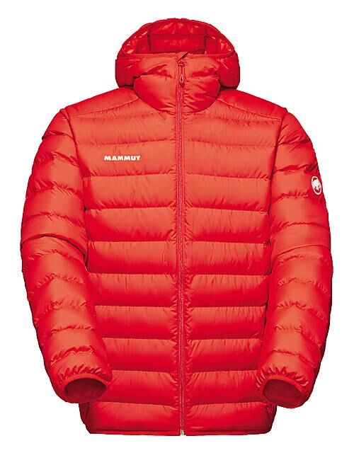 MAMMUT - VESTE WAYMARKER HOODED JKT MEN