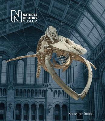 Natural History Museum: Souvenir Guide (Paperback)