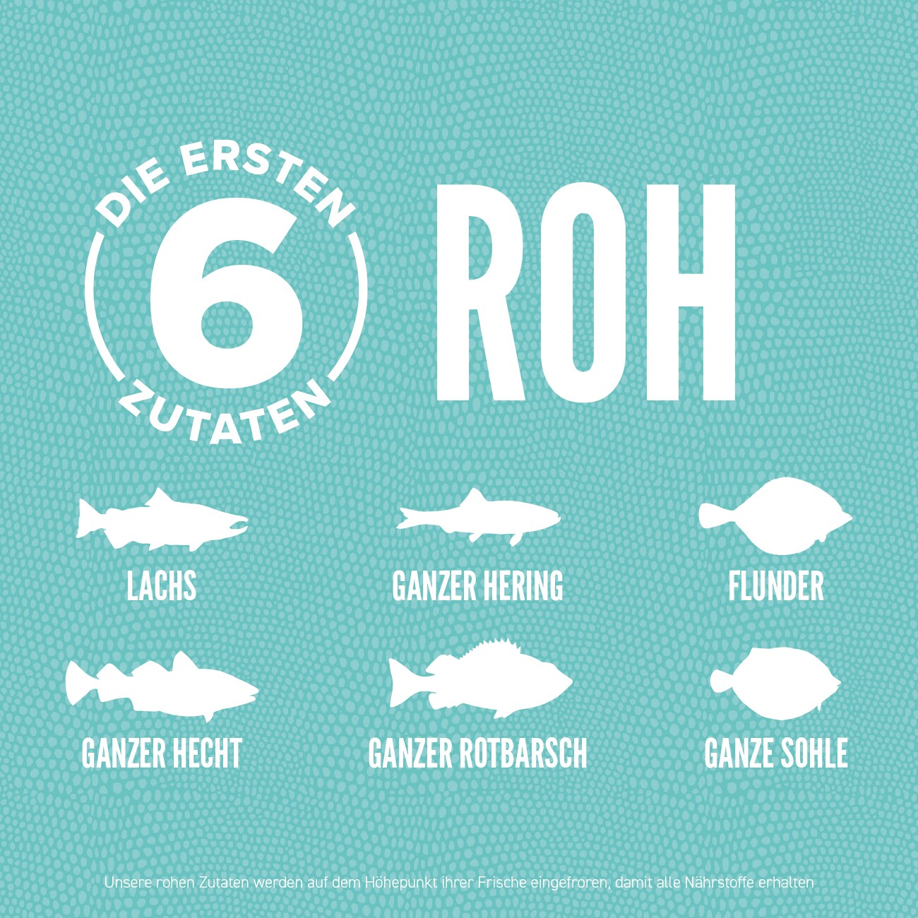 Orijen Small Breed Marine Adult Lachs & Hering 1,8 kg
