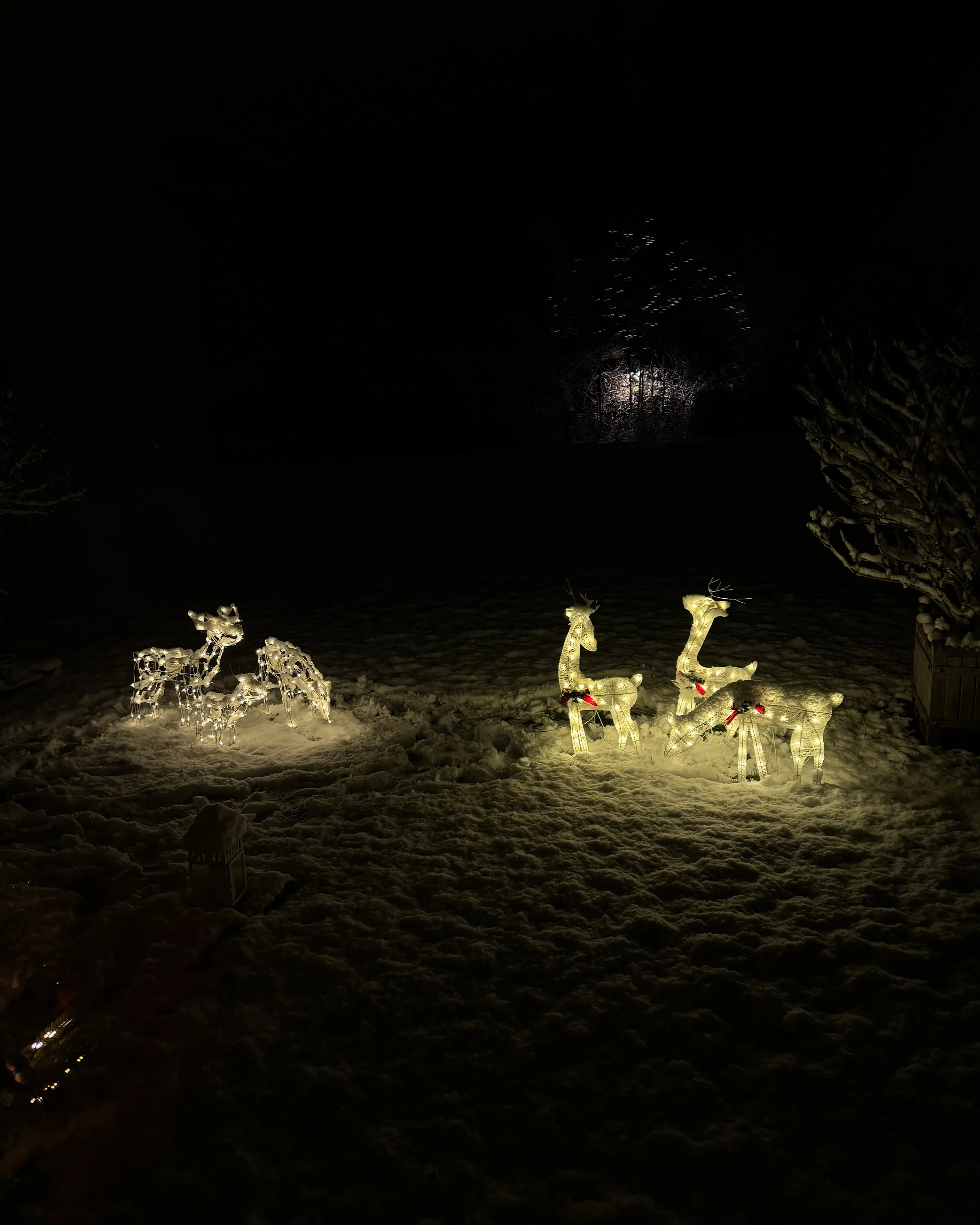 Buitendecoratie LED MIKKELI Geanimeerd rendier 76/47/52 cm Wit