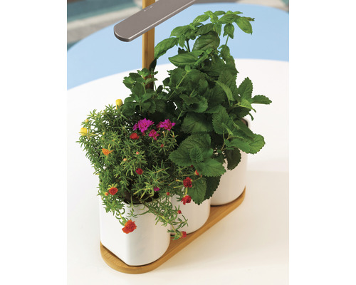 Prêt à Pousser Lilo Classic plantenbak, wit kunststof, inclusief 3 potten en 3 capsules