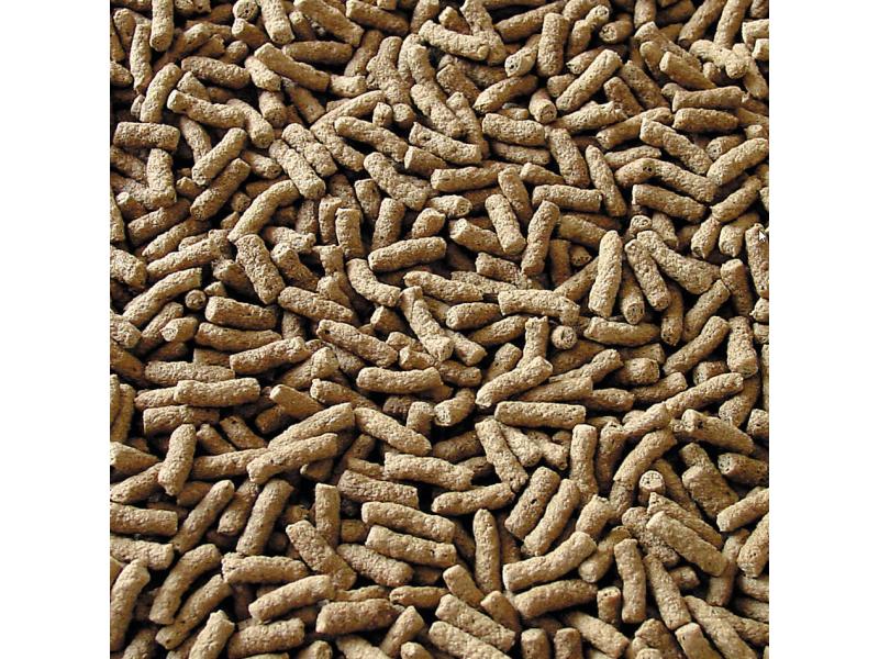 sera Teichfutter Pond Granulat Nature, 21 l, 3.5 kg Granulatfutter für grössere Teichfische