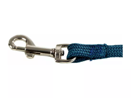 Laisse Fine pour Chien 