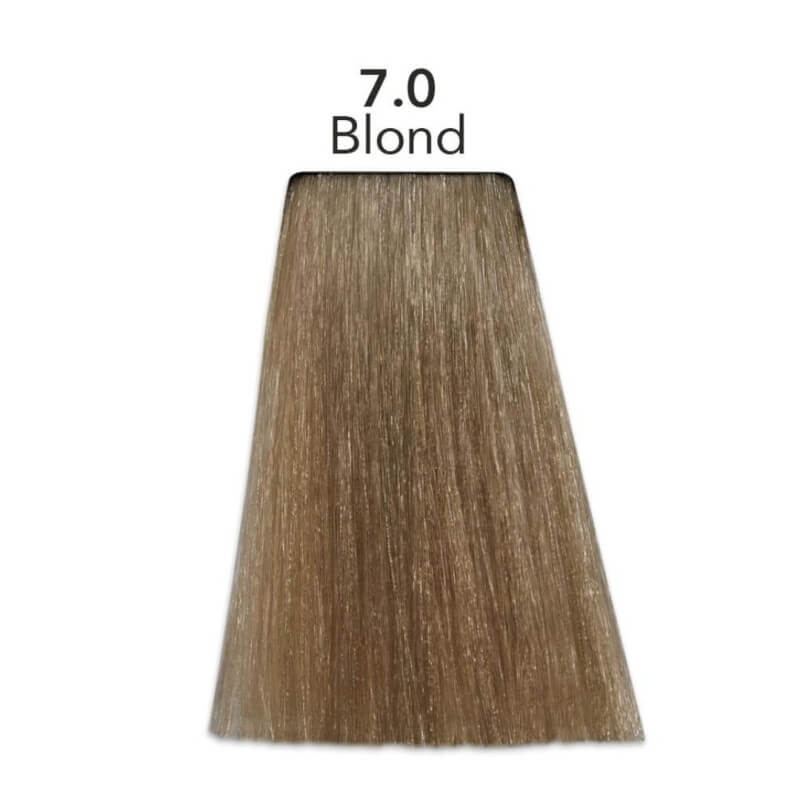Coloration Color One 7.0 blond Patrice Mulato 300ML