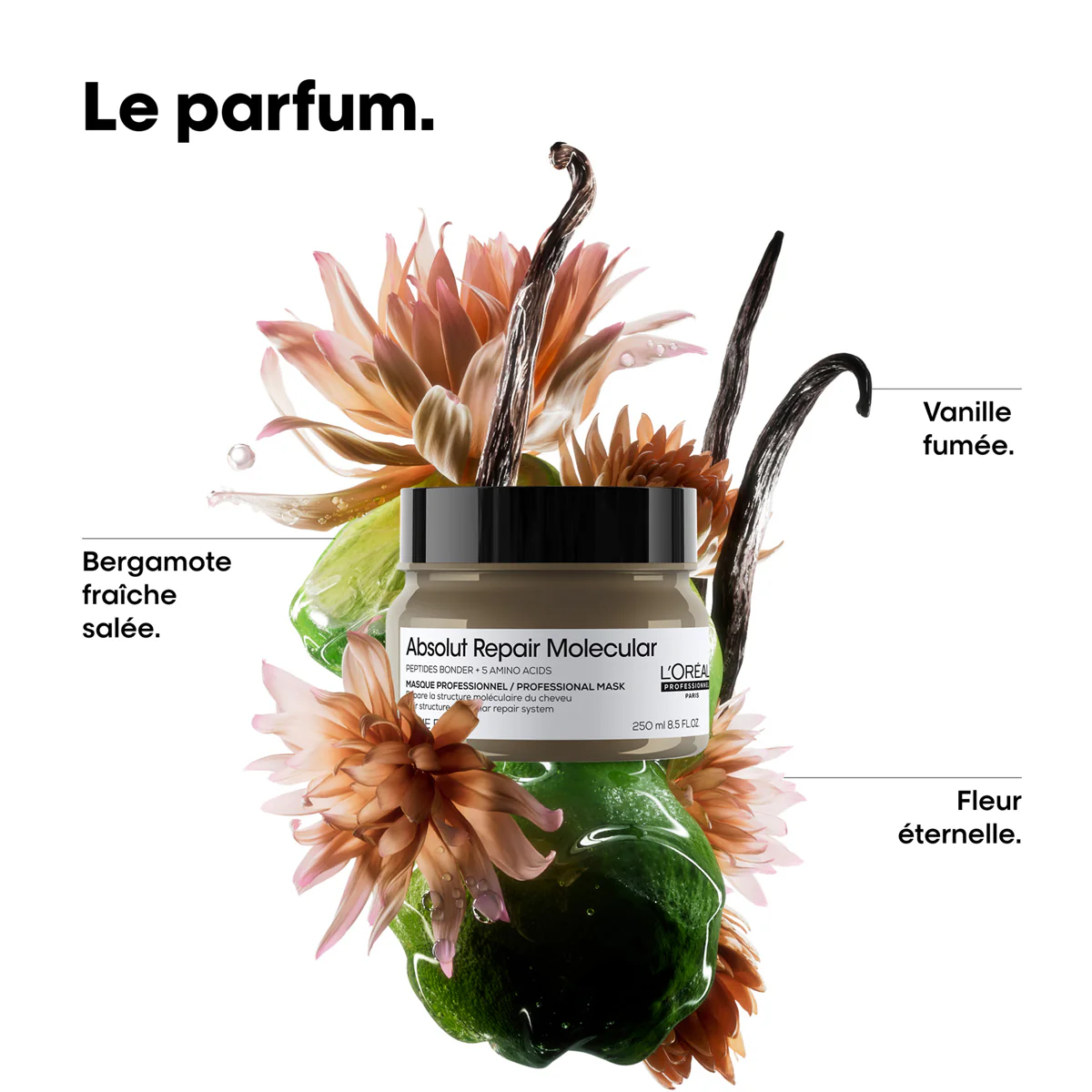 Masque Absolut Repair Molecular Absolut Repair Molecular 250ml