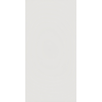 Wandtegel kunststof Allora wit mat 30,5x61 cm, dikte 5mm, 1,116 m²
