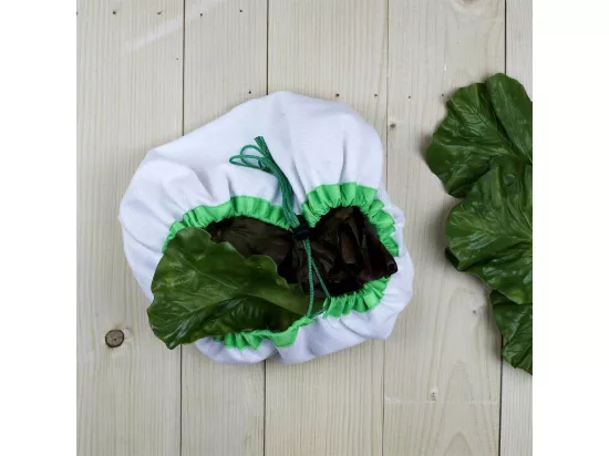 Essoreuse à Salade 