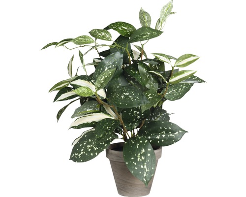 Kunstplant Cordyline (Colubrid) Ø 25 H 35 cm groen