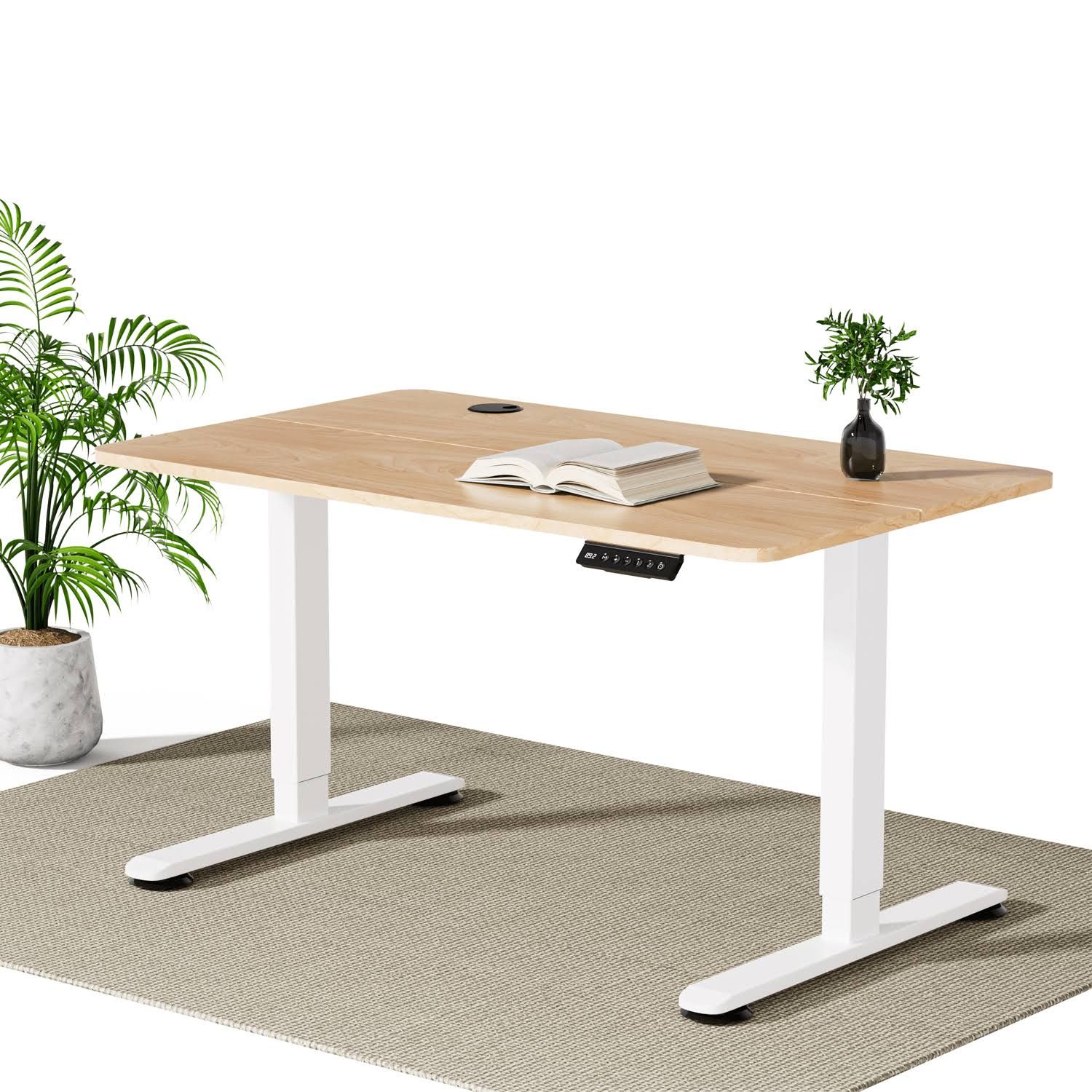 Furniwell Höhenverstellbarer Schreibtisch,100/120/140/160cm