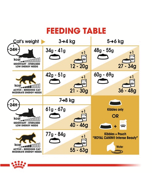Royal Canin Bengal Adult - Kattenvoer