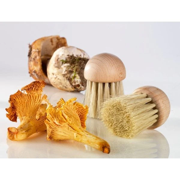 Set brosse à champignons et couteau à champignons pliant N°8