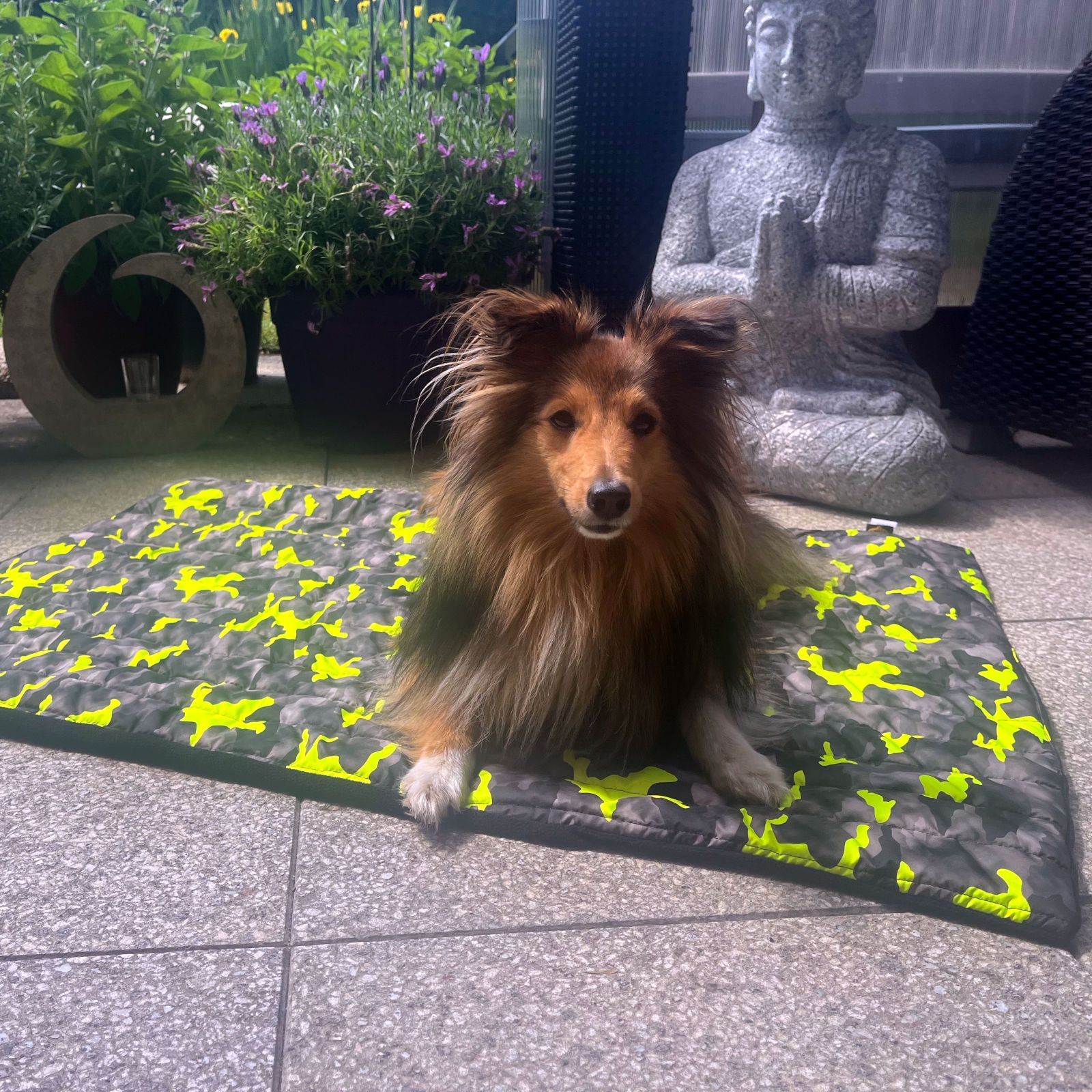 Fashion Dog Double-Face Hundedecke