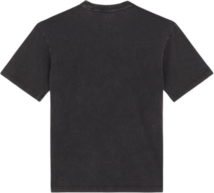Dickies PLENTYWOOD TEE SS DBLE DYE/ACID WAS Dble dye/acd bl