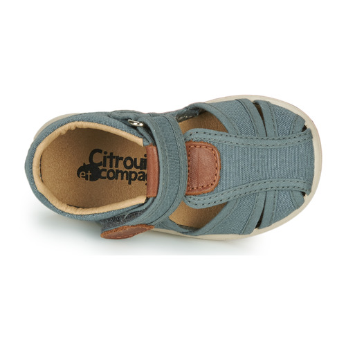 Citrouille et Compagnie - GUNCAL - Gris