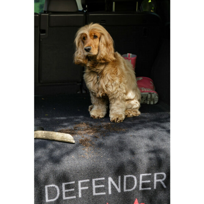 Protection pour coffre Defender Pet Rebellion