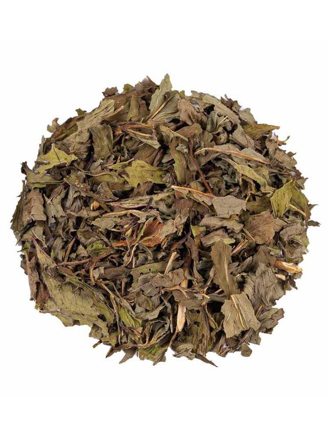 Kräutertee Pfefferminze, 3er-Set