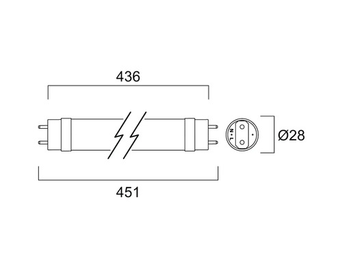 LED buis T8 G13/6W(15W) 950 lm 6500 K daglichtwit 865 L 489 mm