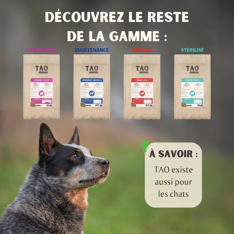 Nutrivet TAO Senior bœuf