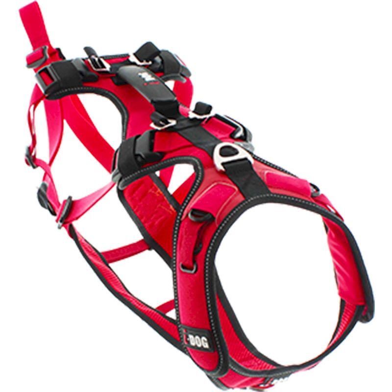 Confort Trek - Harnais pour chien